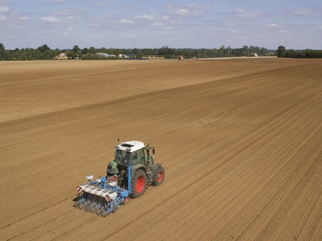 Semis de colza : comment le réussir en 4 étapes ? Visuel